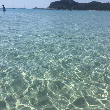 Tuffarsi Nel Paradiso