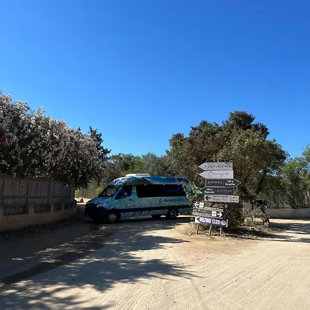 Tuffarsi Nel Paradiso *