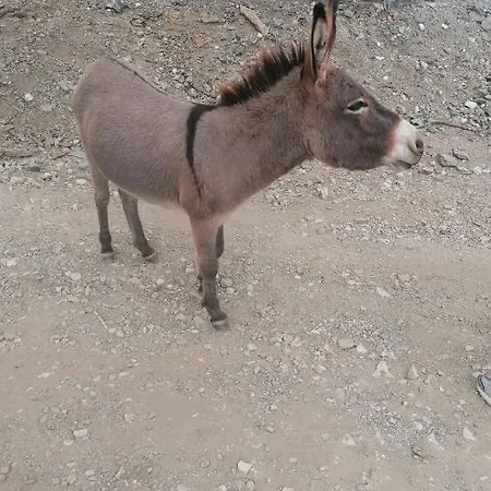 Tuffarsi Nel Paradiso Ferienhaus Villasimius