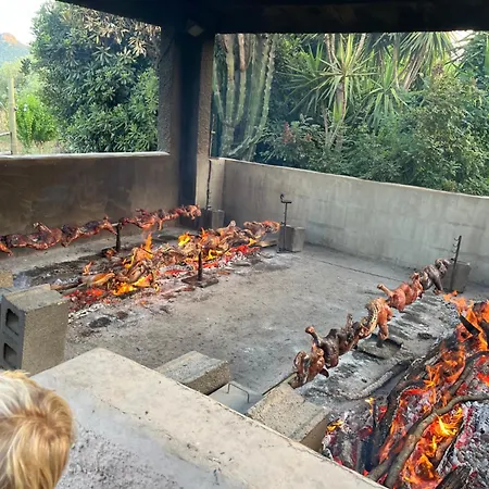 Tuffarsi Nel Paradiso *